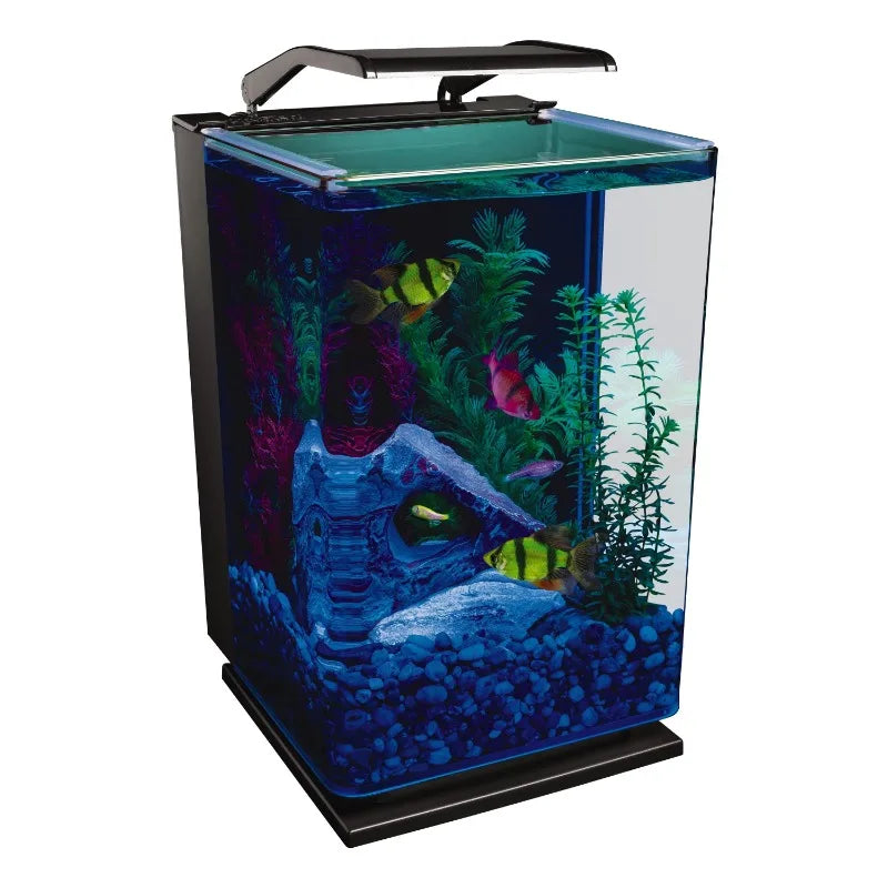 Cycle 5 gal Desktop Starter Glass Aquarium Kit